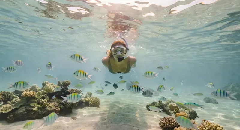 Cartagena 4 or 5 Islands Day Trip: Snorkeling, Beaches & Lunch